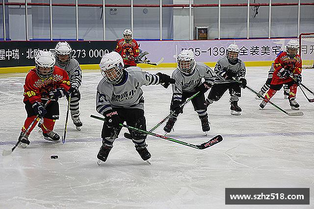 关于bevictor伟德